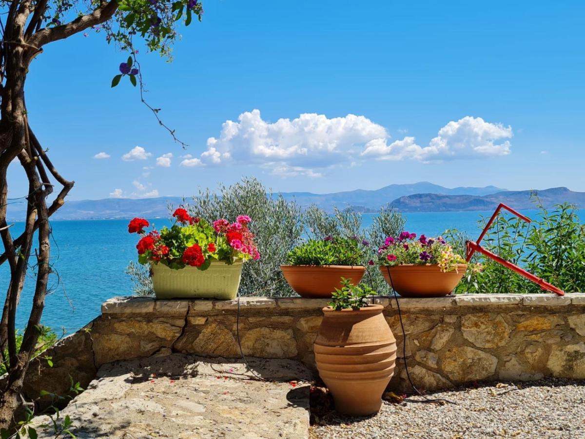 Kiveri 1876 Traditional Seafront Cottage エクステリア 写真